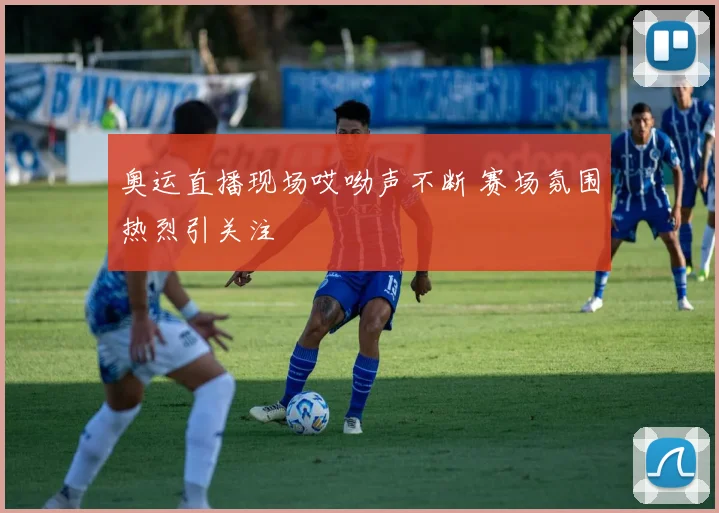 奥运直播现场哎呦声不断 赛场氛围热烈引关注